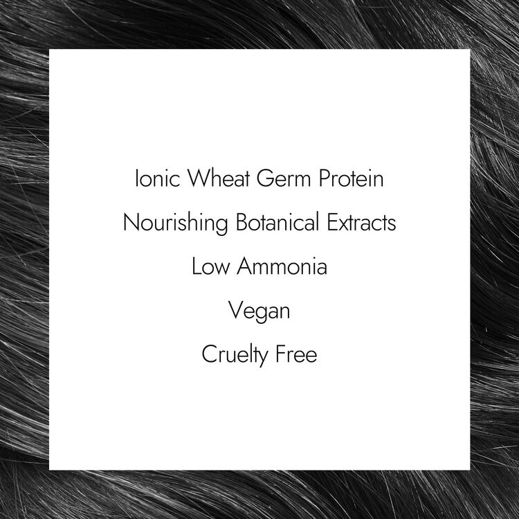 Ion 6C-HM Light Charcoal Permanent Creme Hair Color by Color Brilliance