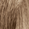 #9X.1 Extra Light Ash Blonde