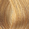 #8.3 Medium Golden Blonde