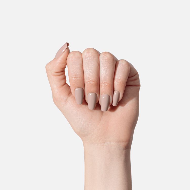 Bear Necessities Premium Press On Nails