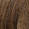 Coolest Brown