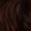 4R Light Red Brown