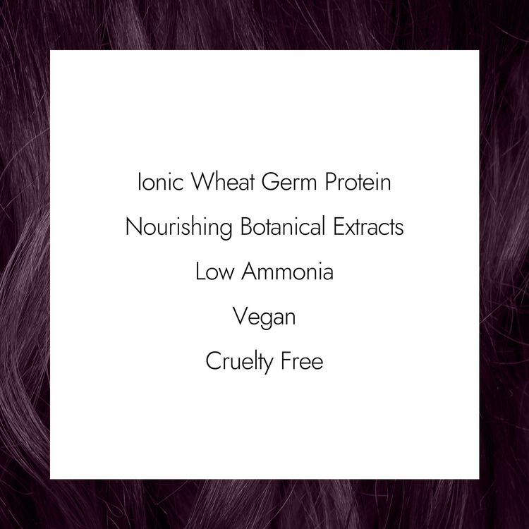 2VV Midnight Violet Black Permanent Creme Hair Color