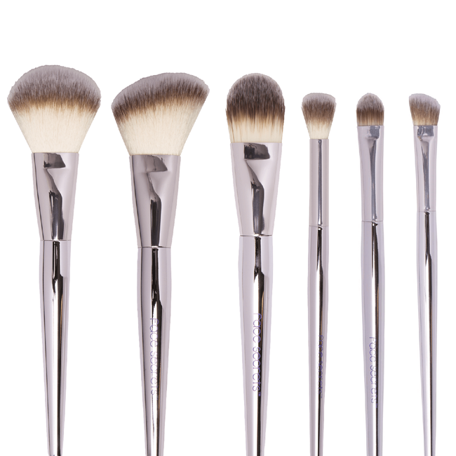 Beauty Secrets 6 Piece Cosmetic Brush Set Makeup Brushes Sally