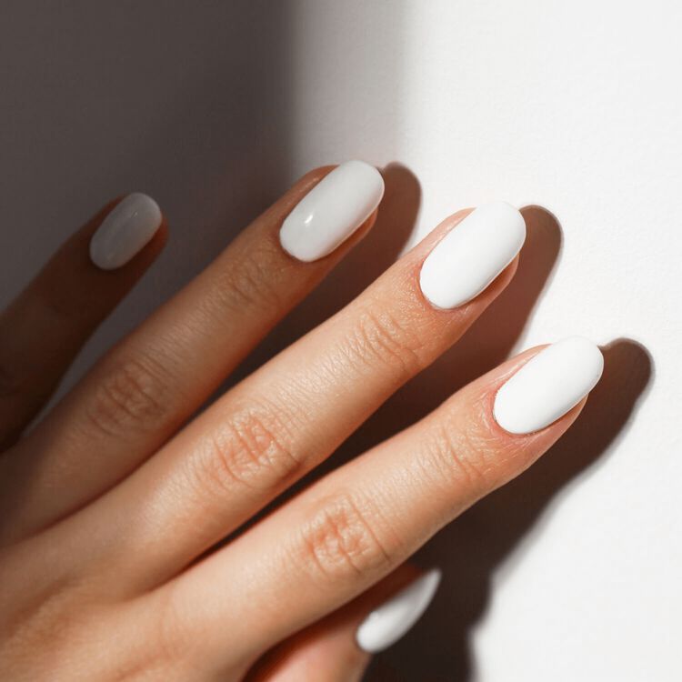 Here's a Tip Starter Dip Kit