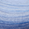 Shark Blue