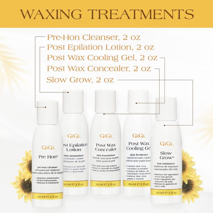 Mini Pro Waxing Kit