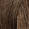 Light Cool Brown