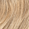 10N Lightest Neutral Blonde