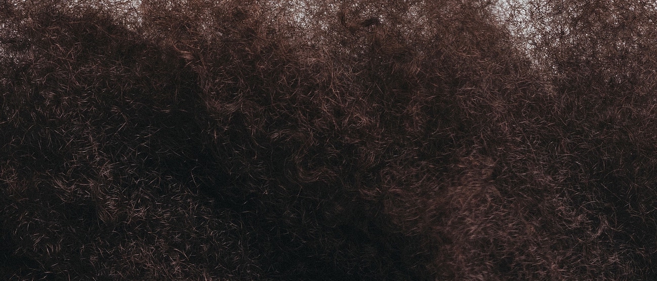 Textured hair