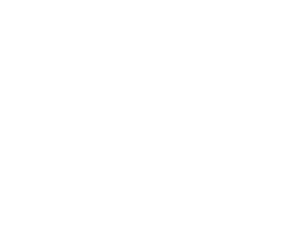 ion logo