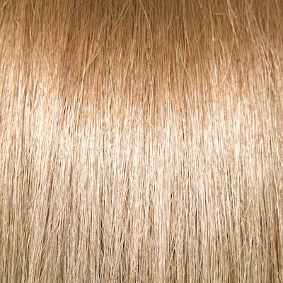Sallys 2025 hair color