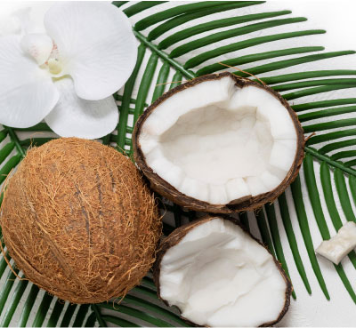 FORMULAS DEVELOPED WITH OUR SIGNATURE TRIPLE PLANT MILK BLEND. Featuring Coconut, Orchid and Tahitian Palm which is water soluble, sustainably sourced, and light enough to use on fine.